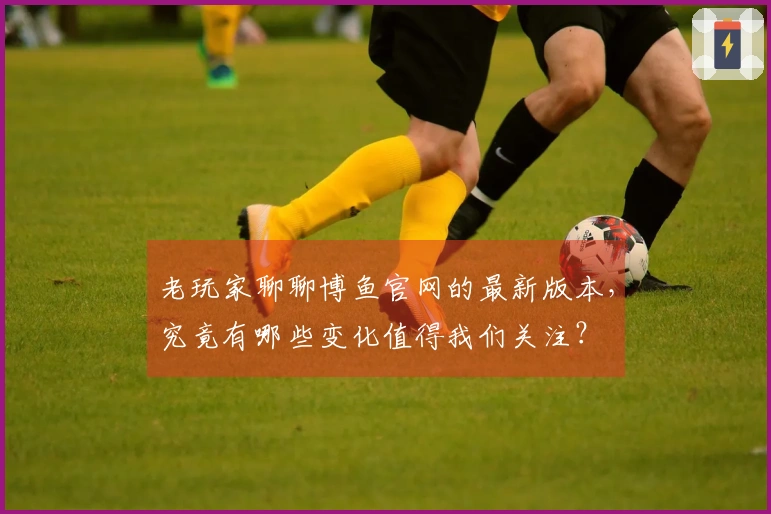 老玩家聊聊博鱼官网的最新版本，究竟有哪些变化值得我们关注？